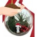 Christmas Penguin Hanging Terrarium Kit - Easy to Grow Air Plant - 5" Glass   